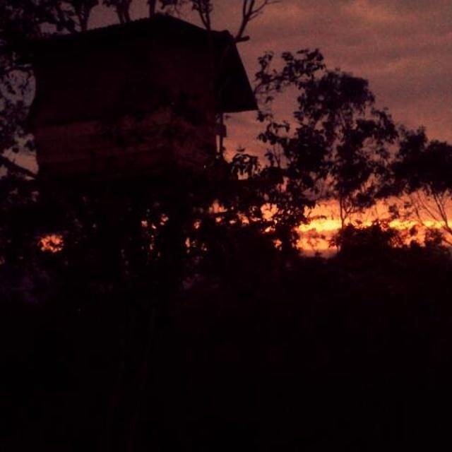 Rumah Pohon Batununggul Buitenkant foto